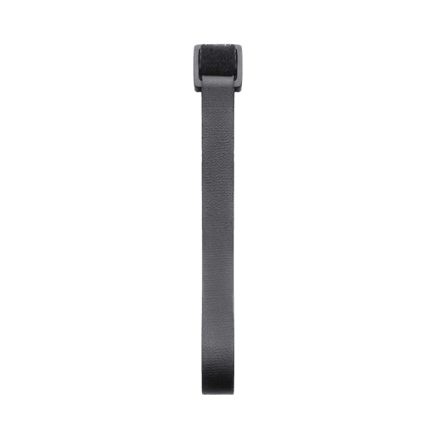 Lens-Fastening Strap