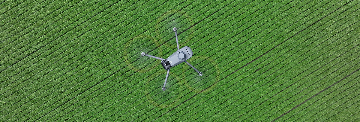 Mavic 3M